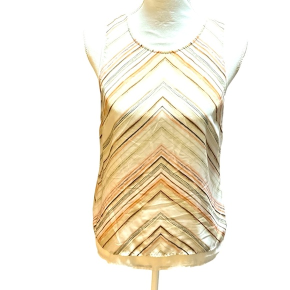 H&M Striped 2 Layered Sheer Sleeveless Tank - Picture 1 of 8